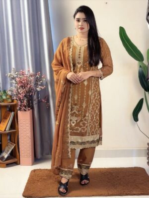 Chiffon Jorjet (Pakistani inspred)