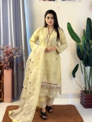 Organza- 3 Piece (Pakistani inspired)